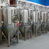 Attrezzatura commerciale di produzione automatica della birra dell'acciaio inossidabile usata commerciale 1000L da vendere