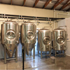 Serbatoi di produzione di birra conici con riscaldamento automatico a vapore in acciaio inossidabile su misura 7BBL in vendita